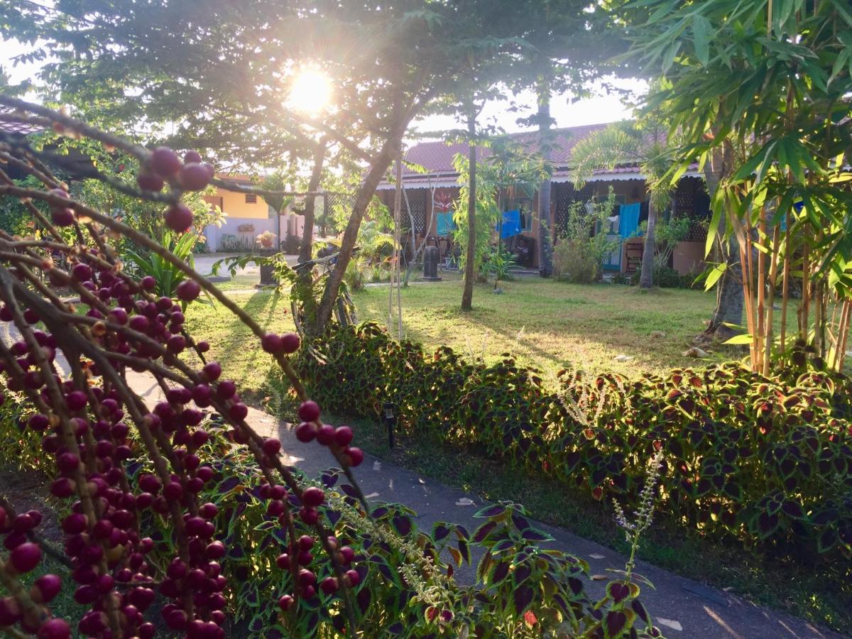 Soluna Guest House Pantai Cenang  Kültér fotó