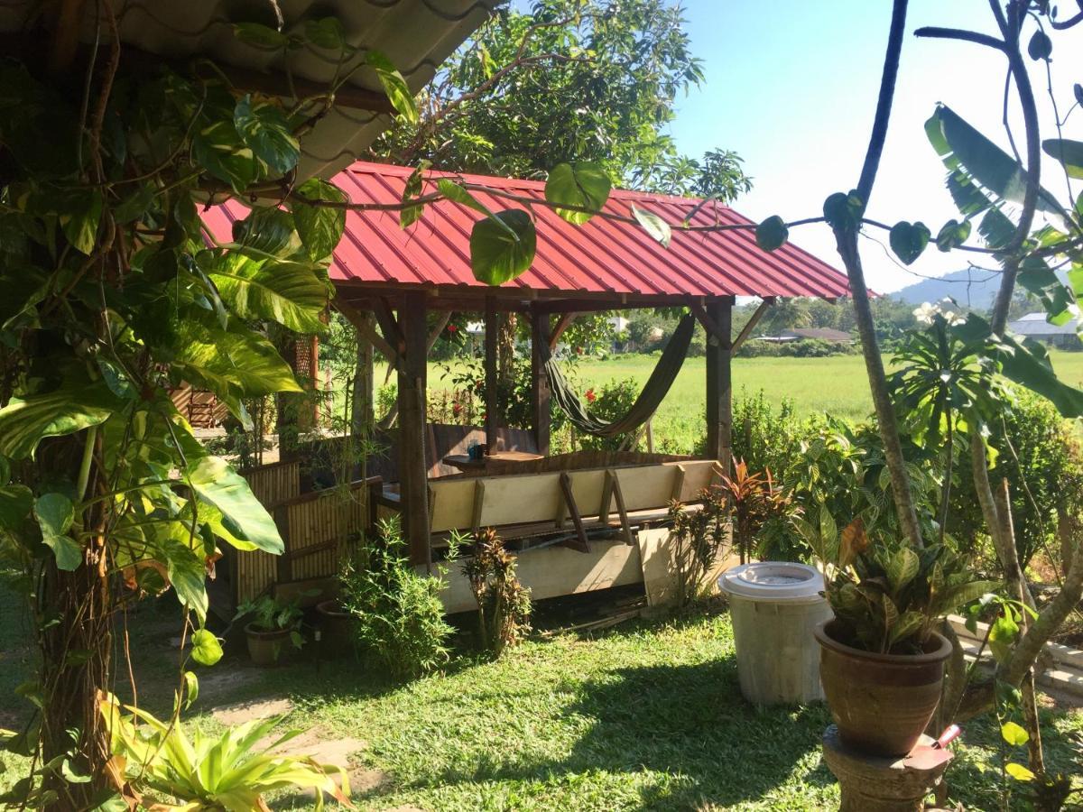 Soluna Guest House Pantai Cenang  Kültér fotó