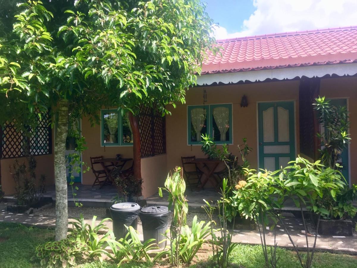 Soluna Guest House Pantai Cenang  Kültér fotó